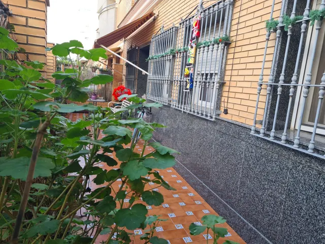 CASA UNA PLANTA EN BELLAVISTA - foto 3