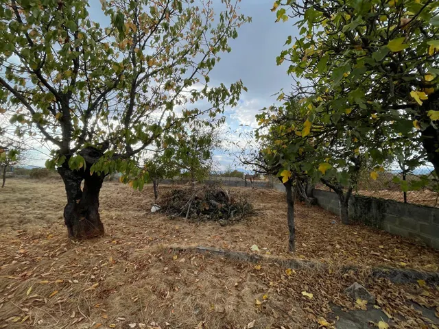 SE VENDE PARCELA CON CASETA — 32