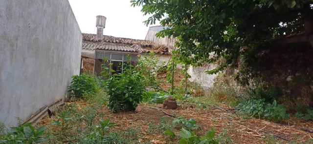 Casa en venta Fuentes de León — 8