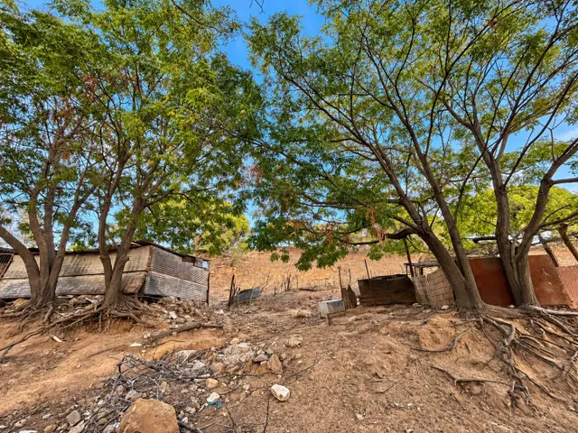 Finca rústica de 18.444 m2 con pozo y construcción catastrada en Alcalá de los Gazule — 14