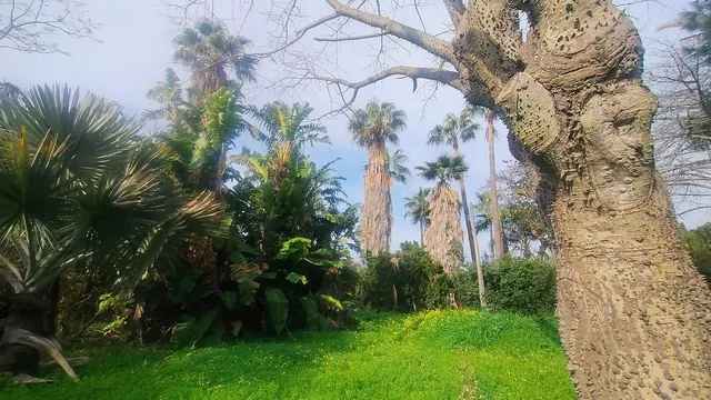 Parcela 727m² en venta - Marbella — 9