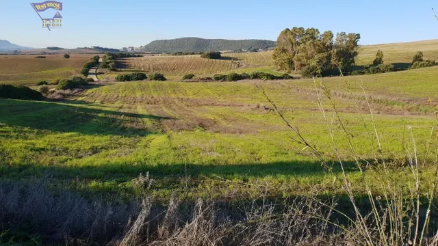 SE VENDE PARCELA EN CARRETERA ARCOS-ALGAR — 4