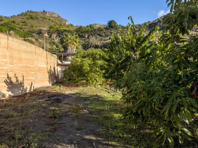 Finca rústica de AGUACATES con CONTRUCCIÓN de 37 m2 en Los Guájares (Faragüit) — 24