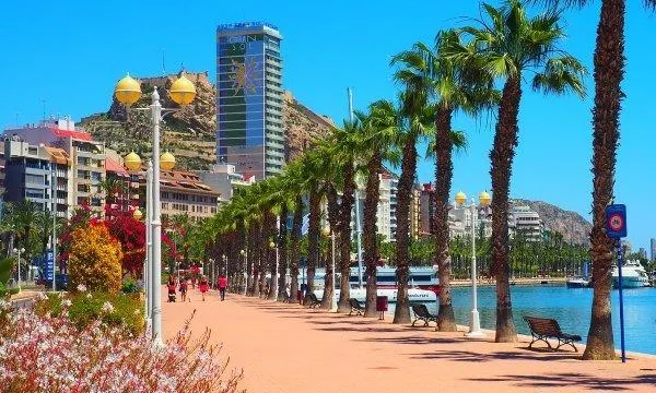 Apartamento 3 habitaciones 125m² en venta - Benalua — 20