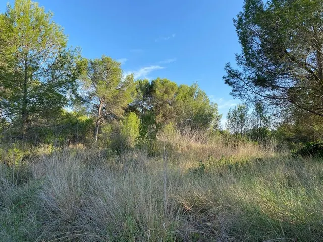 OPORTUNIDAD ENORME TERRENO EN VENTA POR 150.000€ — 15