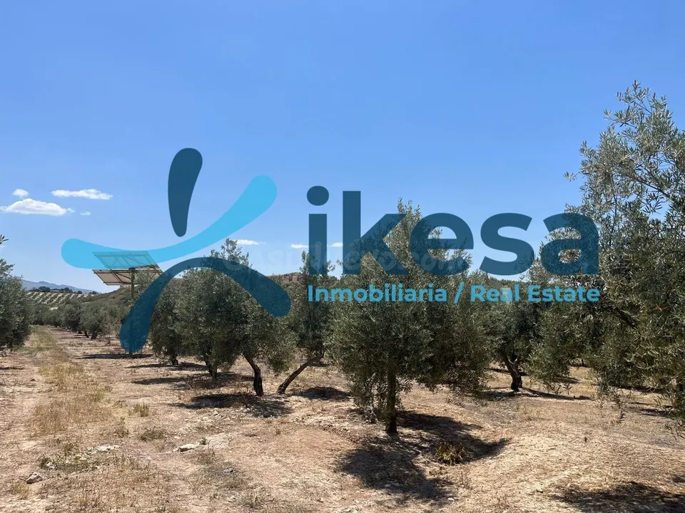 Terreno rural en venta - Andalucia