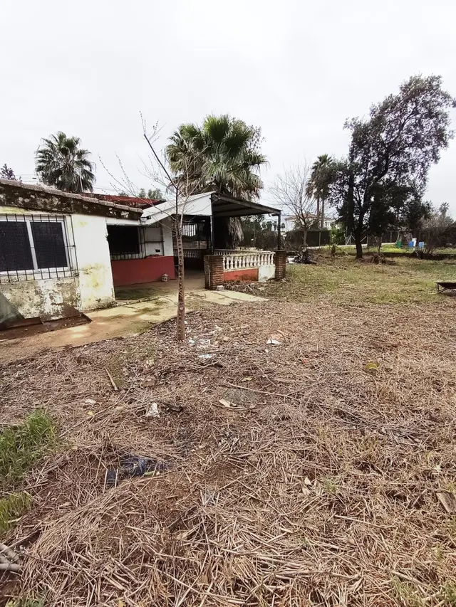 SE VENDE CASA CON TERRENO EN EL CORTIJO DEL ALAMILLO - VILLA - foto 3