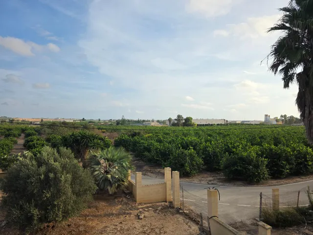 Espectacular finca rústica con proyecto de construcción y licencia en Los Montesinos — 17