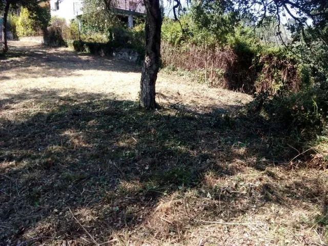A 7 KM DE LA PLAYA DE BLANES --  se venden parcela — 9