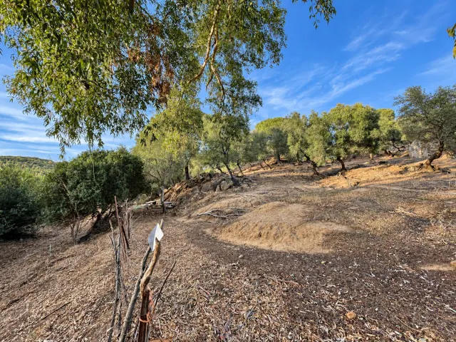 Finca rústica de 18.444 m2 con pozo y construcción catastrada en Alcalá de los Gazule — 33