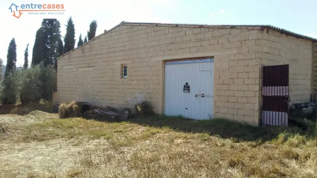 TERRENO RÚSTICO CON ANTIGUA CUADRA — 17