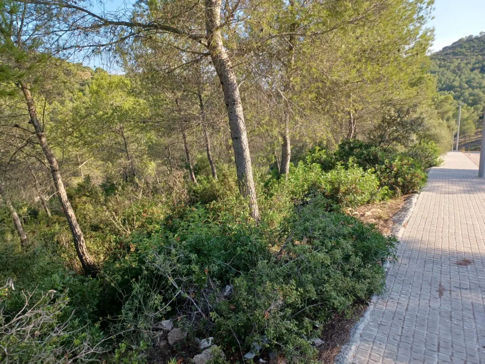 Terreno urbano edificable en venta de 1287 m2 en CASTELLET I LA GORNAL