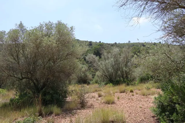 MASIA RUSTICA EN DOS HECTAREAS DE TERRENO ZONA POU DE BECA — 32