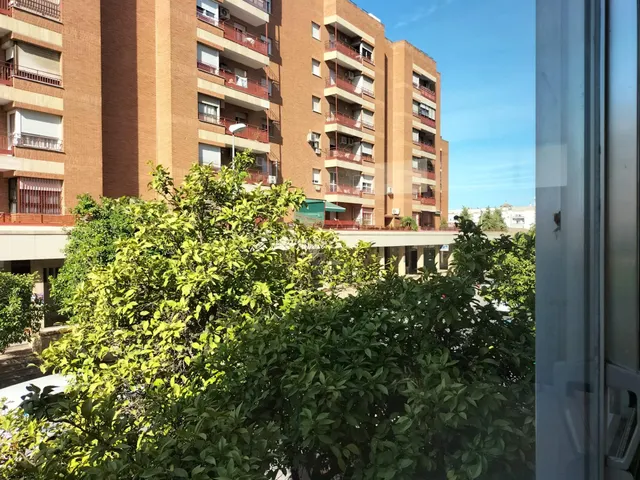 Local en venta de procedencia bancaria — 5