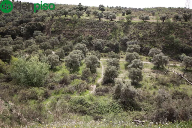 FINCA EN CORTIJO SAN JERÓNIMO (BARTODANO) — 6