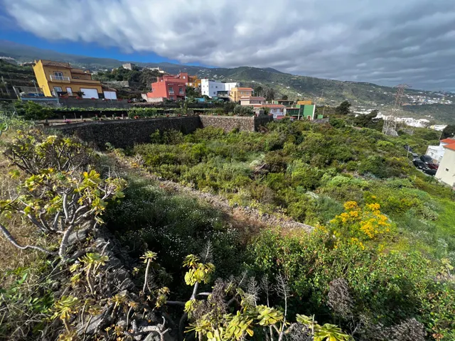 FINCA RÚSTICA CON ESTANQUE Y CUARTO DE APEROS EN ICOD DE LOS VINOS — 32