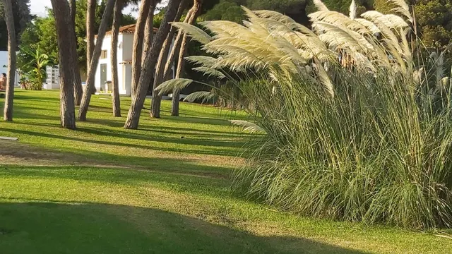 Apartamento 2 habitaciones 52m² en venta - Riviera del sol — 9