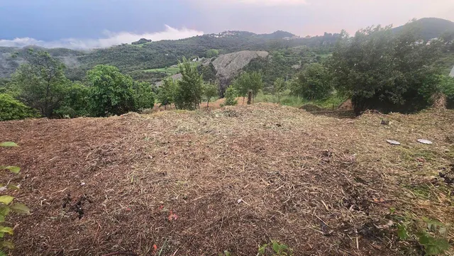 Parcela para construir una o dos casas solas o apareadas - foto 4