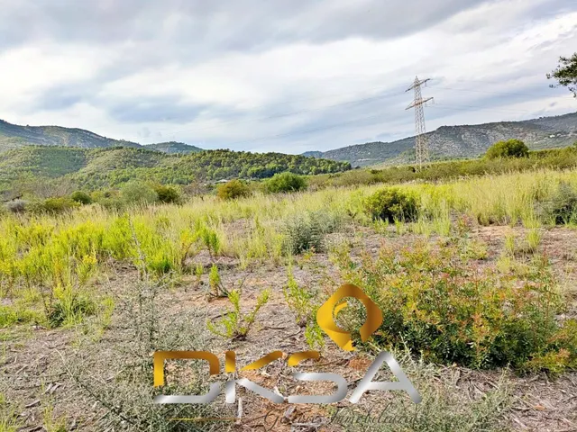 Amplio terreno rural en Cabanes - foto 5