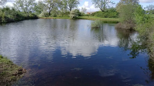 FINCA RUSTICA IDEAL PARA GANADO - foto 4