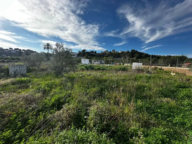 Se vende terreno rustico de 2441m2 todo vallado con movil ho - foto 5