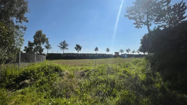 Terreno rural 10m² en alquiler - San Nicasio - foto 3
