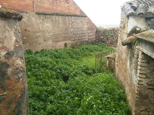 COCHERA CON VIVIENDA Y PATIO — 3