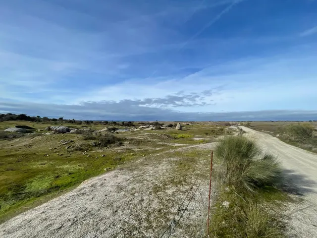 TERRENO DE 30 HECTÁREAS CON VIVIENDA DE UNOS 50 METROS ENTRE CÁCERES Y MALPARTIDA DE CÁCERES — 25