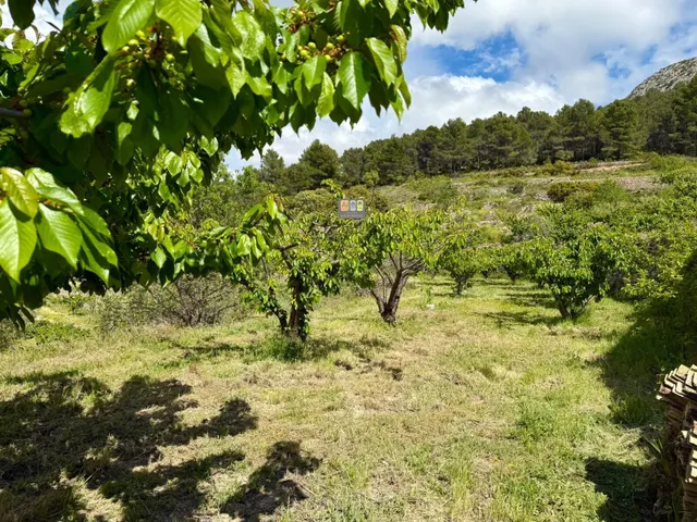 ESPECTACULAR FINCA RÚSTICA EN SELLA — 9