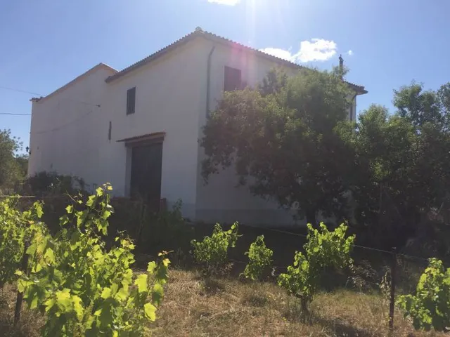 MASIA DEL 1960 CON 39000M2 DE TERRENO AGRICOLA AL LADO DEL MAR DE SANT SALVADOR — 11