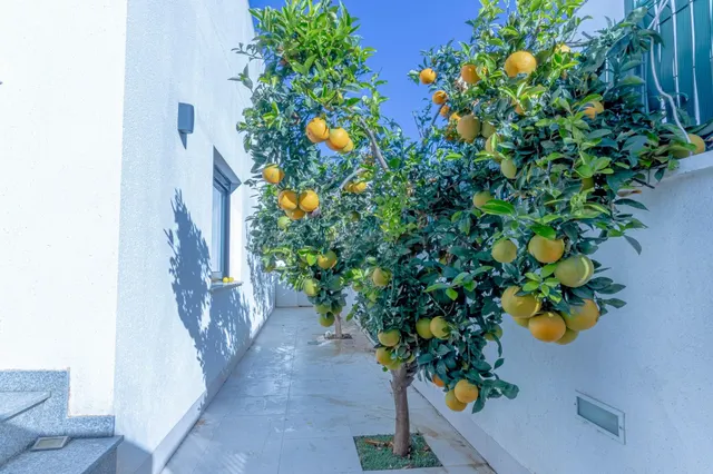 SE ALQUILA POR TEMPORADAS VILLA EN SANTIAGO DE LA RIBERA + PISCINA (SAN PEDRO DE PINATAR) MURCIA — 23