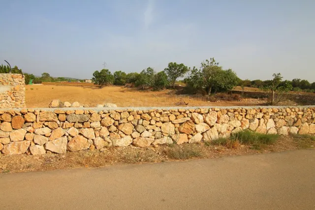TERRENO EN MANACOR - foto 3