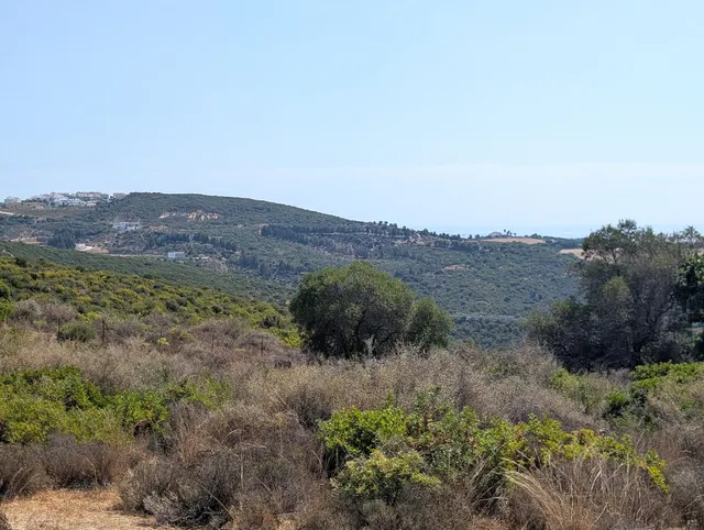 Parcela rústica de 8.023 m2 con vistas al mar en Casares — 7
