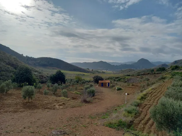 Refugio único con 3 viviendas, olivar y energía solar – Costa Cálida, Murcia — 23