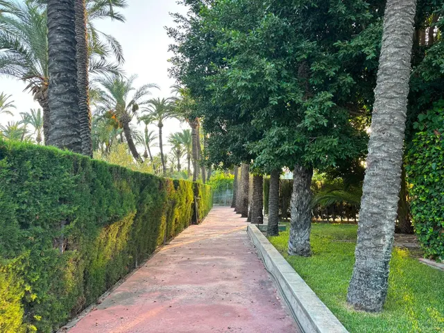 Impresionante Chalet en Alzabares, Elche - Ideal para Disfrutar del Espacio y la Naturaleza — 29