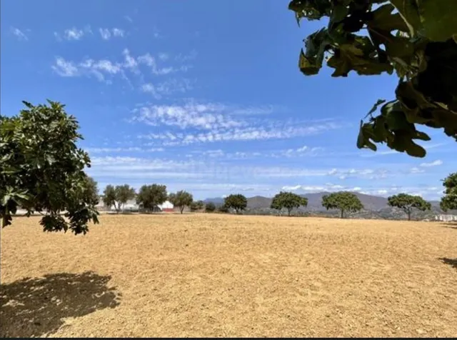 Parcela en venta - Riviera del sol
