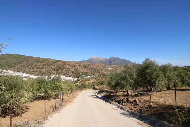 Finca rural con proyecto turístico en Tolox (Málaga) - 6.000 m² — 8