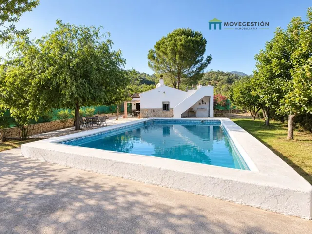 Campo en tavizna — 13