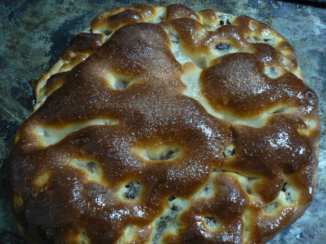 TRASPASO DE HORNO  BOLLERÍA  EN EL BOTANIC — 50