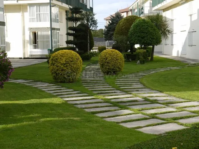 APARTAMENTO EN ISLA, A 150 M DE LA PLAYA Y CON GARAJE - foto 3
