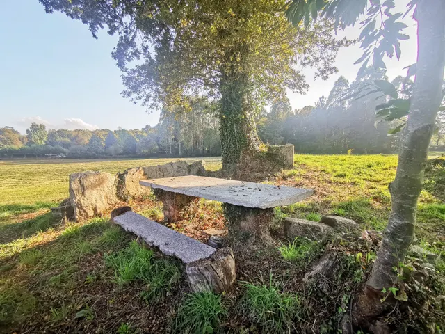 Casa de labranza con más de 6 hectáreas de terreno en Terra  - foto 3