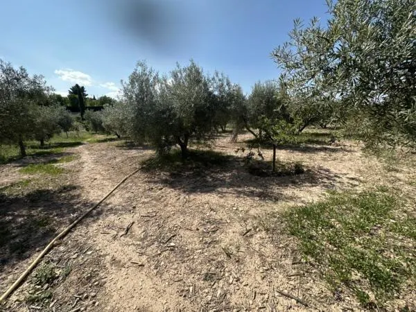 Parcela de terreno Rural cercana al casco urbano — 7