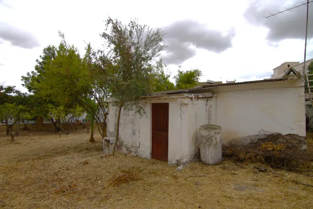 PARCELA DE 1576 METROS EDIFICABLE EN GUARO — 2