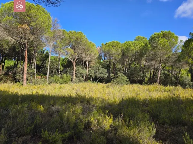 Terreno en urb pinares del jucar — 2