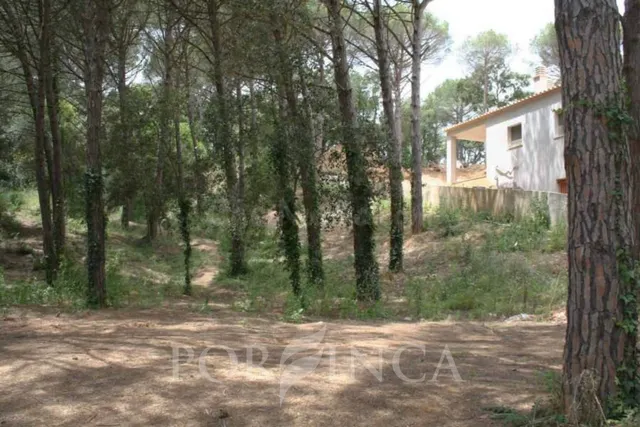Parcela edificable totalmente plana en urbanización Mas Pere - foto 2