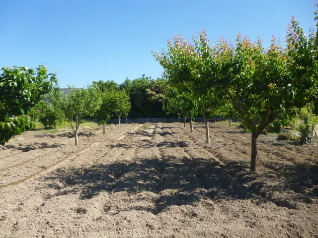 Terreno en Camí La Font - Ontinyent — 6