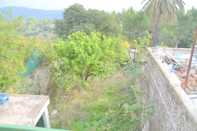 Local en Campanet, céntrico — 9