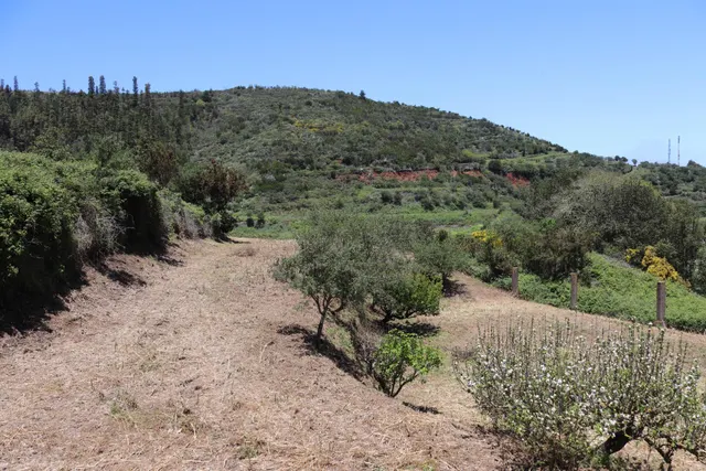 Terreno Agrario en Venta â Zona de Erjos (municipio de Los Silos / El Tanque) — 15