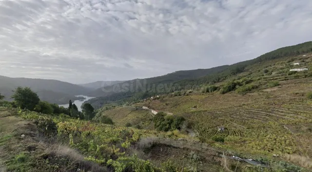 Bodega en la Ribeira Sacra, zona ribeira de Chantada: Tradic - foto 2
