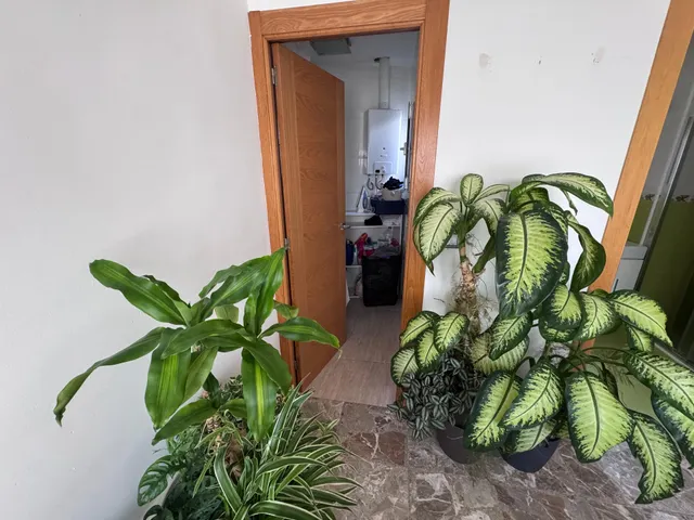 Edificio en venta en centro de Alicante (Zona Mercado Central) — 39